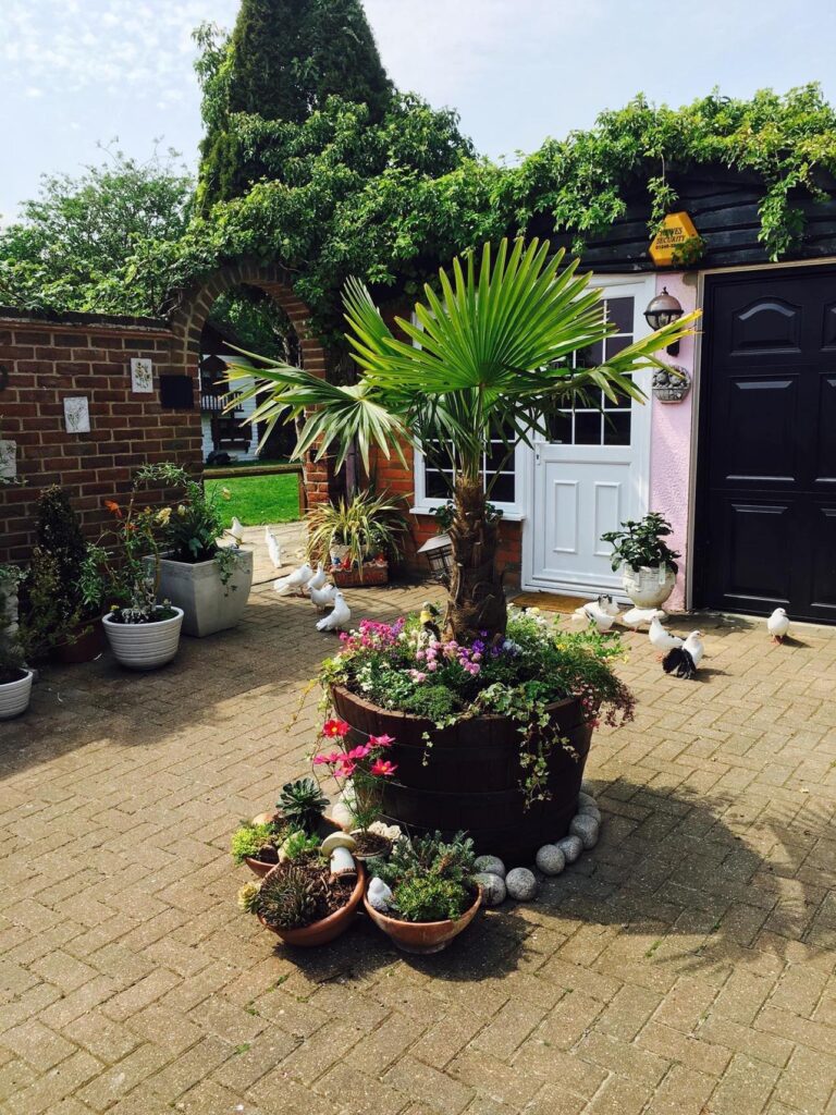 essex cattery thurrock cat boarding 01