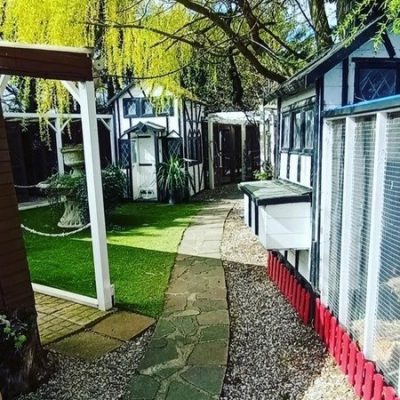 cattery-accommodation-essex-grays