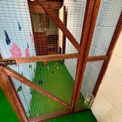 tanglewood animal housing essex 1