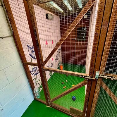 tanglewood animal housing essex 4