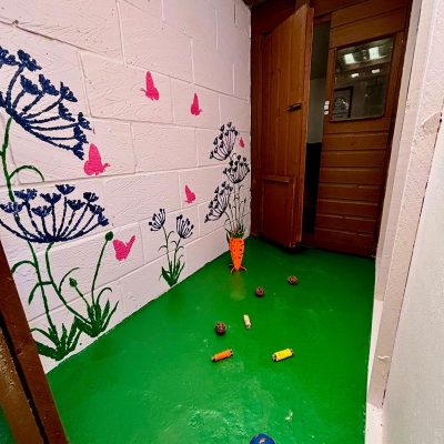 tanglewood animal housing essex 5